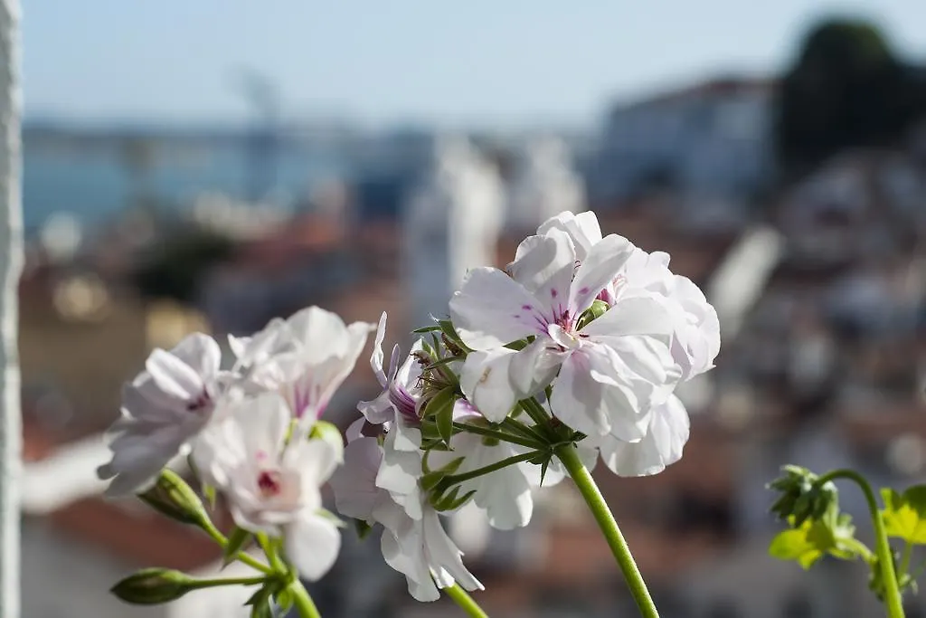 Alfama - St Estevao Viewpoint | Lisbon Cheese & Wine Apartments Portugal